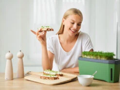 HARRY HERBS Dunkelgrün Ohne Haube | Kräutertöpfe Von Gusta Garden -Samenhaus Geschäft 560339 HARRY HERBS dunkelgruen ohne Haube 103B20 gg 5