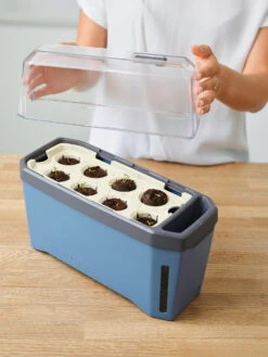 HARRY HERBS Kräutertopf Blau | Kräutertöpfe Von Gusta Garden -Samenhaus Geschäft 560340 HARRY HERBS blau 104B10 gg 1