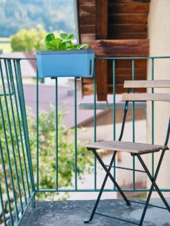 HARRY HERBS Kräutertopf Blau | Kräutertöpfe Von Gusta Garden -Samenhaus Geschäft 560340 HARRY HERBS blau 104B10 gg 7