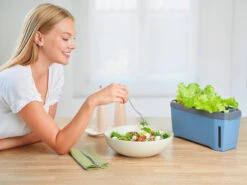 HARRY HERBS Kräutertopf Blau | Kräutertöpfe Von Gusta Garden -Samenhaus Geschäft 560340 HARRY HERBS blau 104B10 gg 8