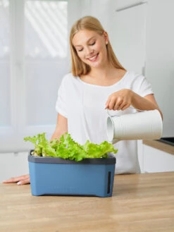 HARRY HERBS Blau Ohne Haube | Kräutertöpfe Von Gusta Garden 15 HARRY HERBS Blau Ohne Haube | Kräutertöpfe Von Gusta Garden -Samenhaus Geschäft 560341 HARRY HERBS blau ohne Haube 104B20 gg 1