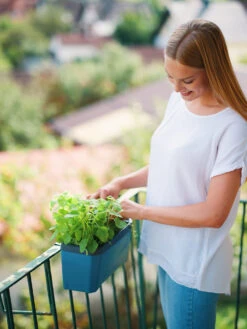 HARRY HERBS Blau Ohne Haube | Kräutertöpfe Von Gusta Garden 19 HARRY HERBS Blau Ohne Haube | Kräutertöpfe Von Gusta Garden -Samenhaus Geschäft 560341 HARRY HERBS blau ohne Haube 104B20 gg 4