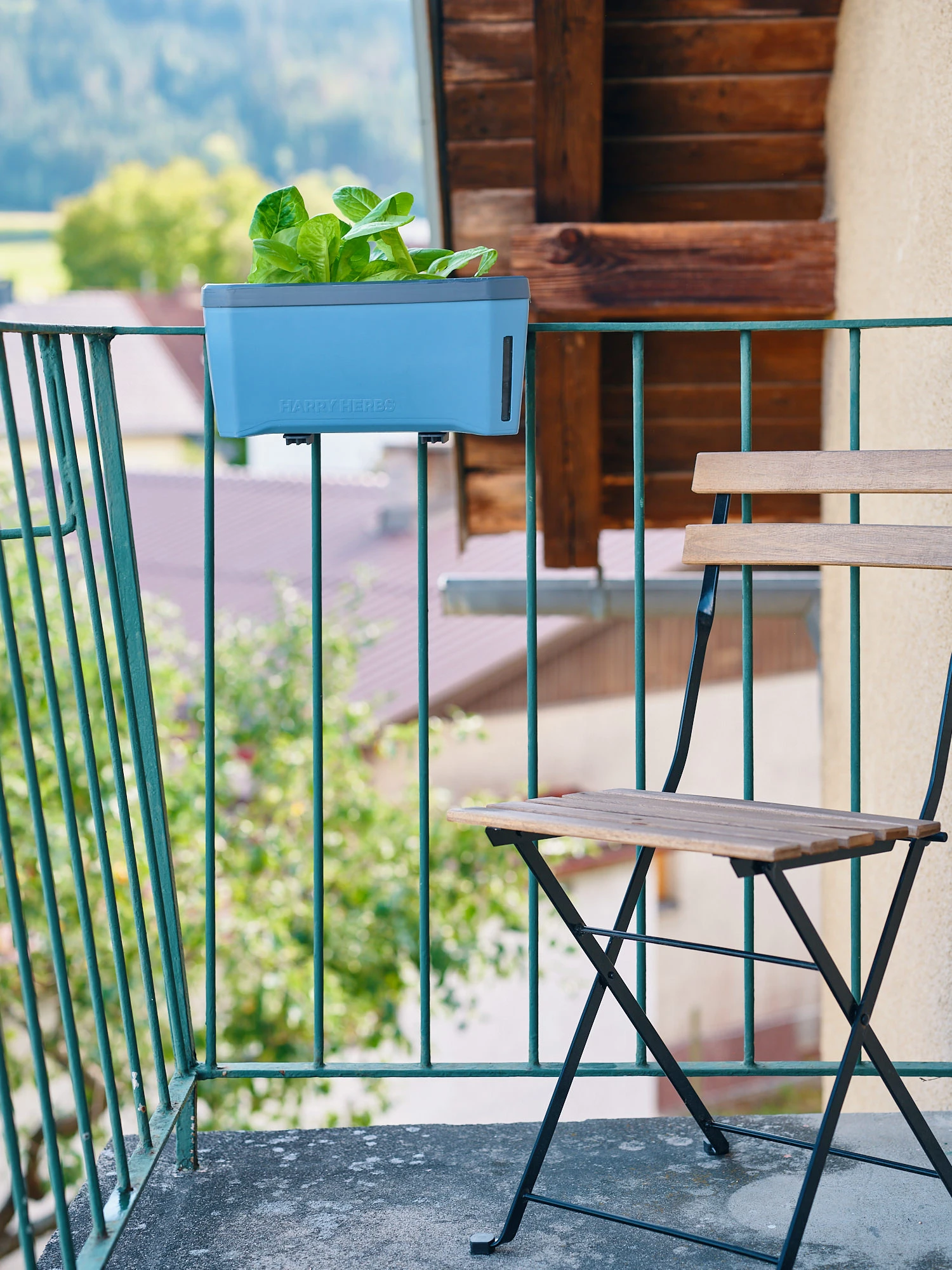 HARRY HERBS Blau Ohne Haube | Kräutertöpfe Von Gusta Garden 4 HARRY HERBS Blau Ohne Haube | Kräutertöpfe Von Gusta Garden – Bild 2