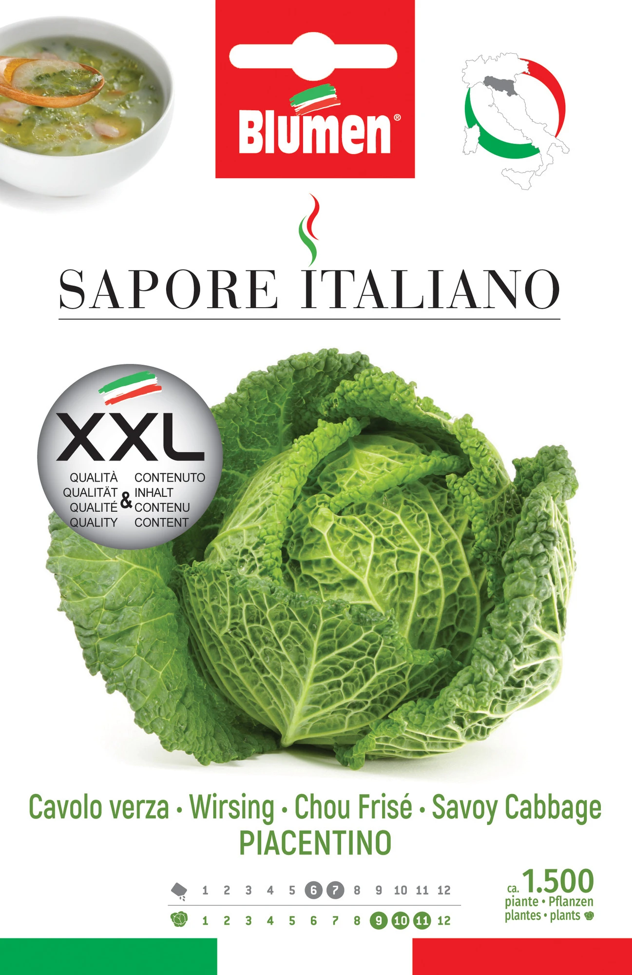 Wirsing Piacentino | Wirsingsamen Von BLUMEN Group 3 Wirsing Piacentino | Wirsingsamen Von BLUMEN Group