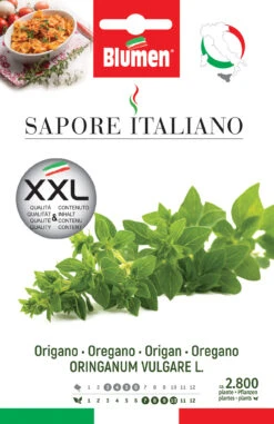 Oregano | Oreganosamen Von BLUMEN Group