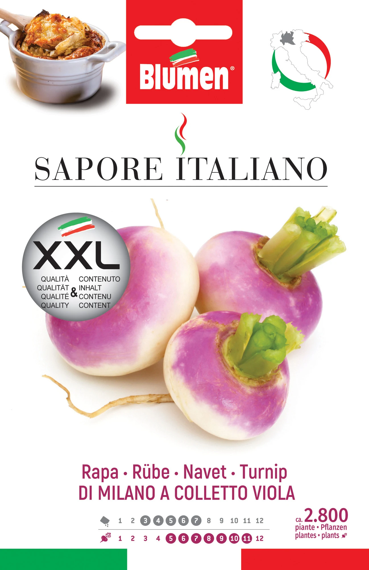 Rübe Di Milano A Colletto Viola | Rübensamen Von BLUMEN Group 3 Rübe Di Milano A Colletto Viola | Rübensamen Von BLUMEN Group