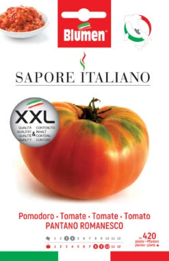 Tomate Pantano Romanesco | Tomatensamen Von BLUMEN Group