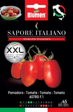 Tomate Sapore Italiano Astro F1 | Tomatensamen Von BLUMEN Group