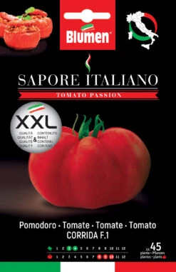 Tomate Sapore Italiano Corrida F1 | Tomatensamen Von BLUMEN Group