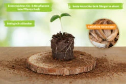 36 Mm Kokos Quelltabletten | Kokos Quelltabletten Von FLORTUS 12 36 Mm Kokos Quelltabletten | Kokos Quelltabletten Von FLORTUS -Samenhaus Geschäft 560730 36 mm Kokos Quelltabletten 2000 1013 36x 3