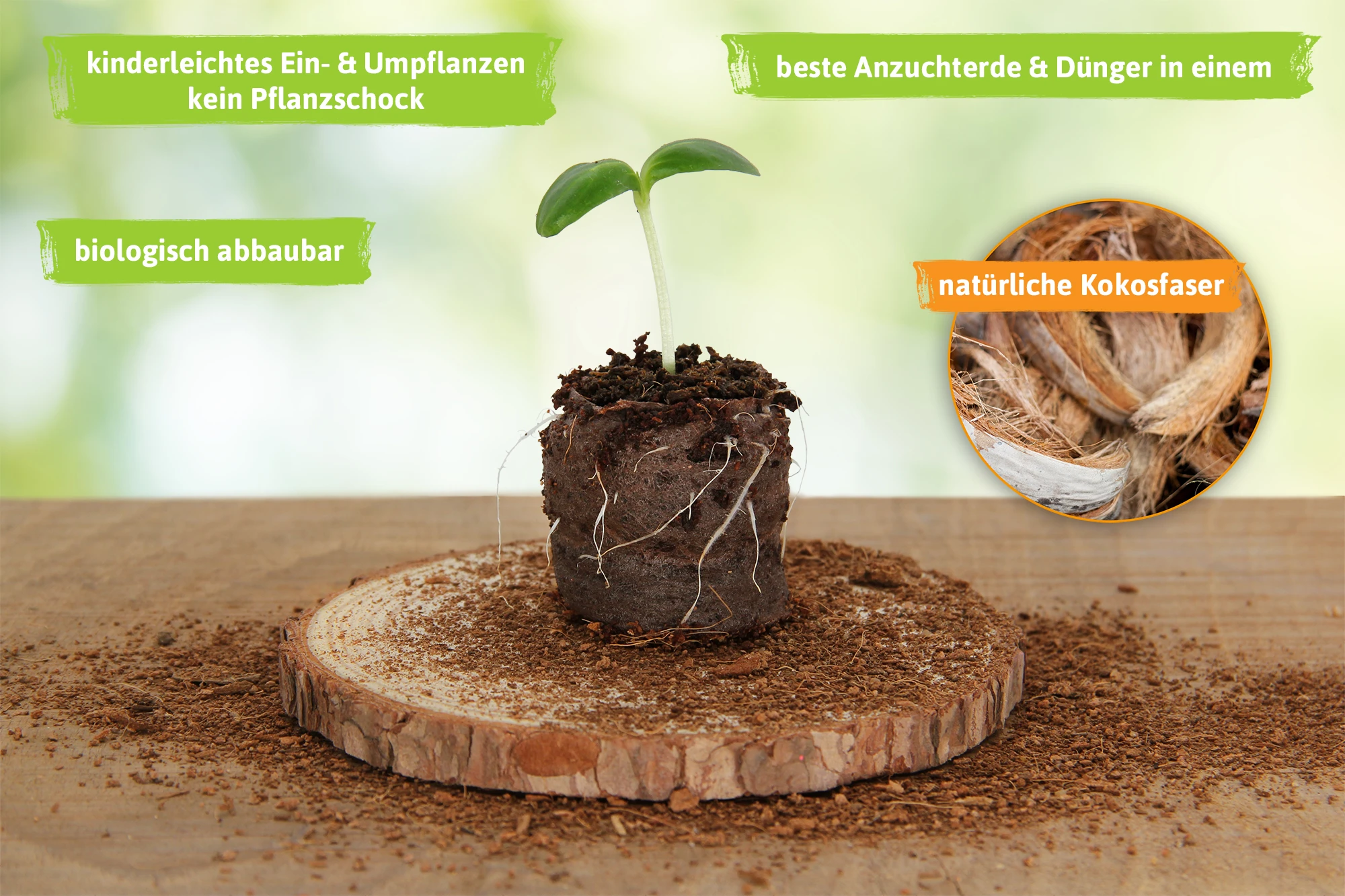 36 Mm Kokos Quelltabletten | Kokos Quelltabletten Von FLORTUS 5 36 Mm Kokos Quelltabletten | Kokos Quelltabletten Von FLORTUS – Bild 3