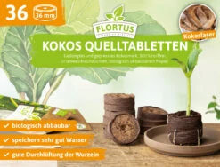 36 Mm Kokos Quelltabletten | Kokos Quelltabletten Von FLORTUS 17 36 Mm Kokos Quelltabletten | Kokos Quelltabletten Von FLORTUS -Samenhaus Geschäft 560730 36 mm Kokos Quelltabletten 558922 36 mm Kokos Quelltabletten 2000 1013 36x 1
