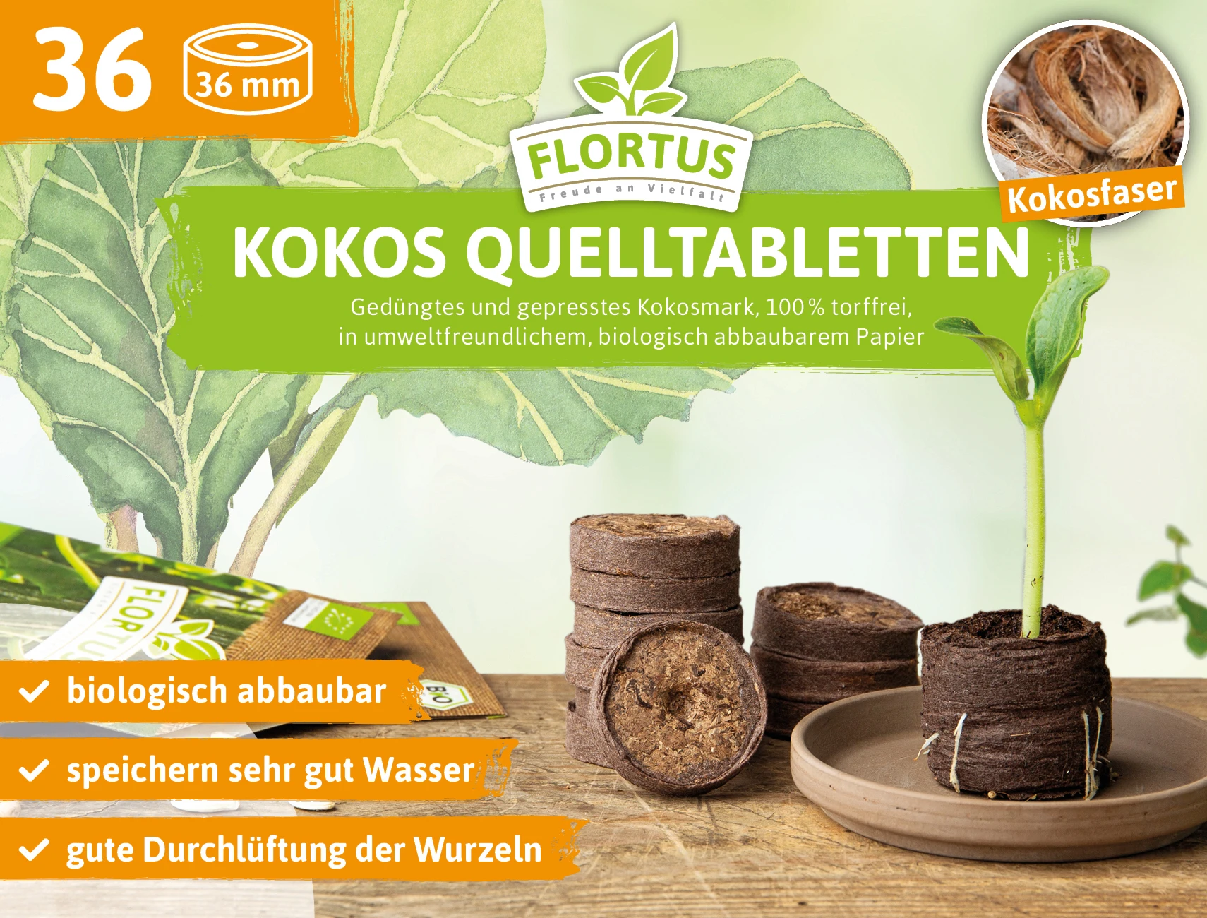 36 Mm Kokos Quelltabletten | Kokos Quelltabletten Von FLORTUS 10 36 Mm Kokos Quelltabletten | Kokos Quelltabletten Von FLORTUS – Bild 8