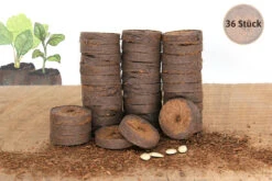 36 Mm Kokos Quelltabletten | Kokos Quelltabletten Von FLORTUS 14 36 Mm Kokos Quelltabletten | Kokos Quelltabletten Von FLORTUS -Samenhaus Geschäft 560730 36 mm Kokos Quelltabletten 558922 36 mm Kokos Quelltabletten 2000 1013 36x 4