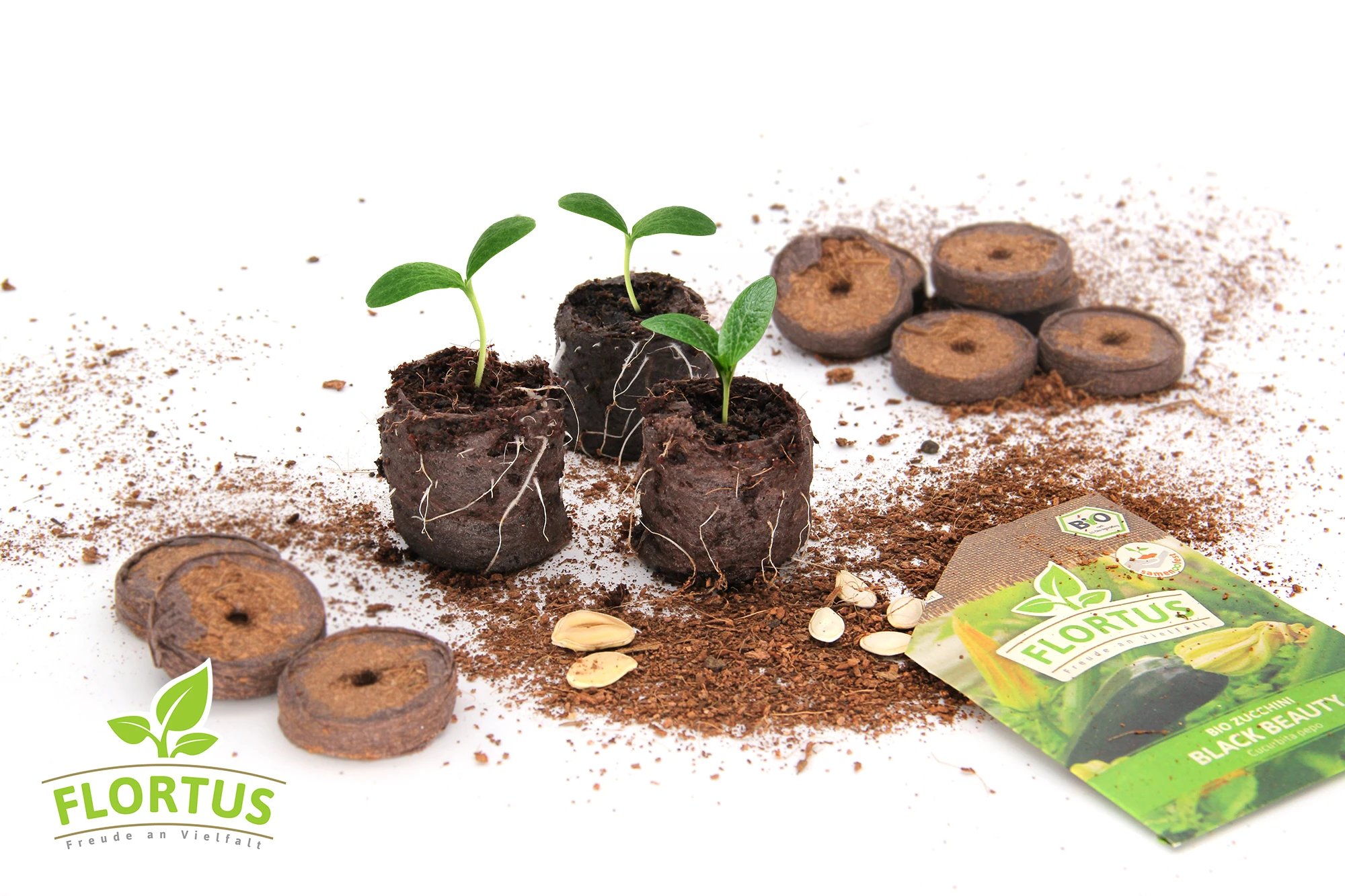 36 Mm Kokos Quelltabletten | Kokos Quelltabletten Von FLORTUS 3 36 Mm Kokos Quelltabletten | Kokos Quelltabletten Von FLORTUS