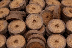 36 Mm Kokos Quelltabletten | Kokos Quelltabletten Von FLORTUS 15 36 Mm Kokos Quelltabletten | Kokos Quelltabletten Von FLORTUS -Samenhaus Geschäft 560730 36 mm Kokos Quelltabletten 558922 36 mm Kokos Quelltabletten 2000 1013 36x 7