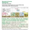 Kürbis Moschata De Provence | BIO Muskatkürbissamen Von Austrosaat -Samenhaus Geschäft 561592 BIO Kuerbis Moschata de Provence 5175 as 1