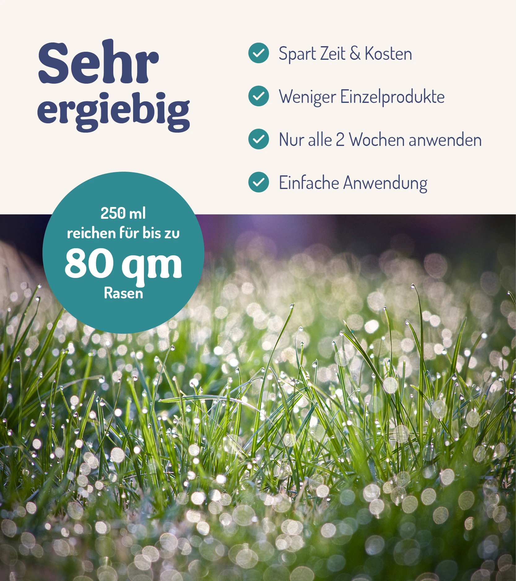 RasenWunder - Für Rasenpflanzen (250 Ml) | Pflanzenstärkungsmittel Von DeNatura 6 RasenWunder - Für Rasenpflanzen (250 Ml) | Pflanzenstärkungsmittel Von DeNatura – Bild 4