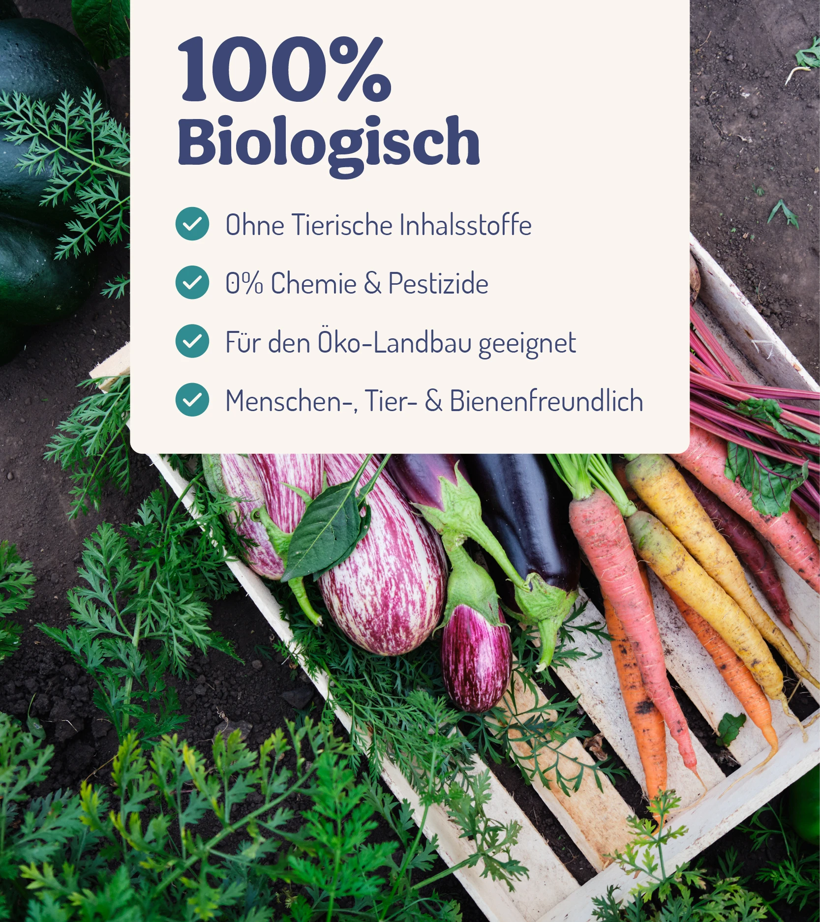 ErnteWunder - Für Obst & Gemüse (250 Ml) | Pflanzenstärkungsmittel Von DeNatura 5 ErnteWunder - Für Obst & Gemüse (250 Ml) | Pflanzenstärkungsmittel Von DeNatura – Bild 3