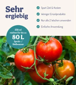 ErnteWunder - Für Obst & Gemüse (250 Ml) | Pflanzenstärkungsmittel Von DeNatura 15 ErnteWunder - Für Obst & Gemüse (250 Ml) | Pflanzenstärkungsmittel Von DeNatura -Samenhaus Geschäft 561625 ErnteWunder Fuer Obst und Gemuese 250 ml DN 1030 4