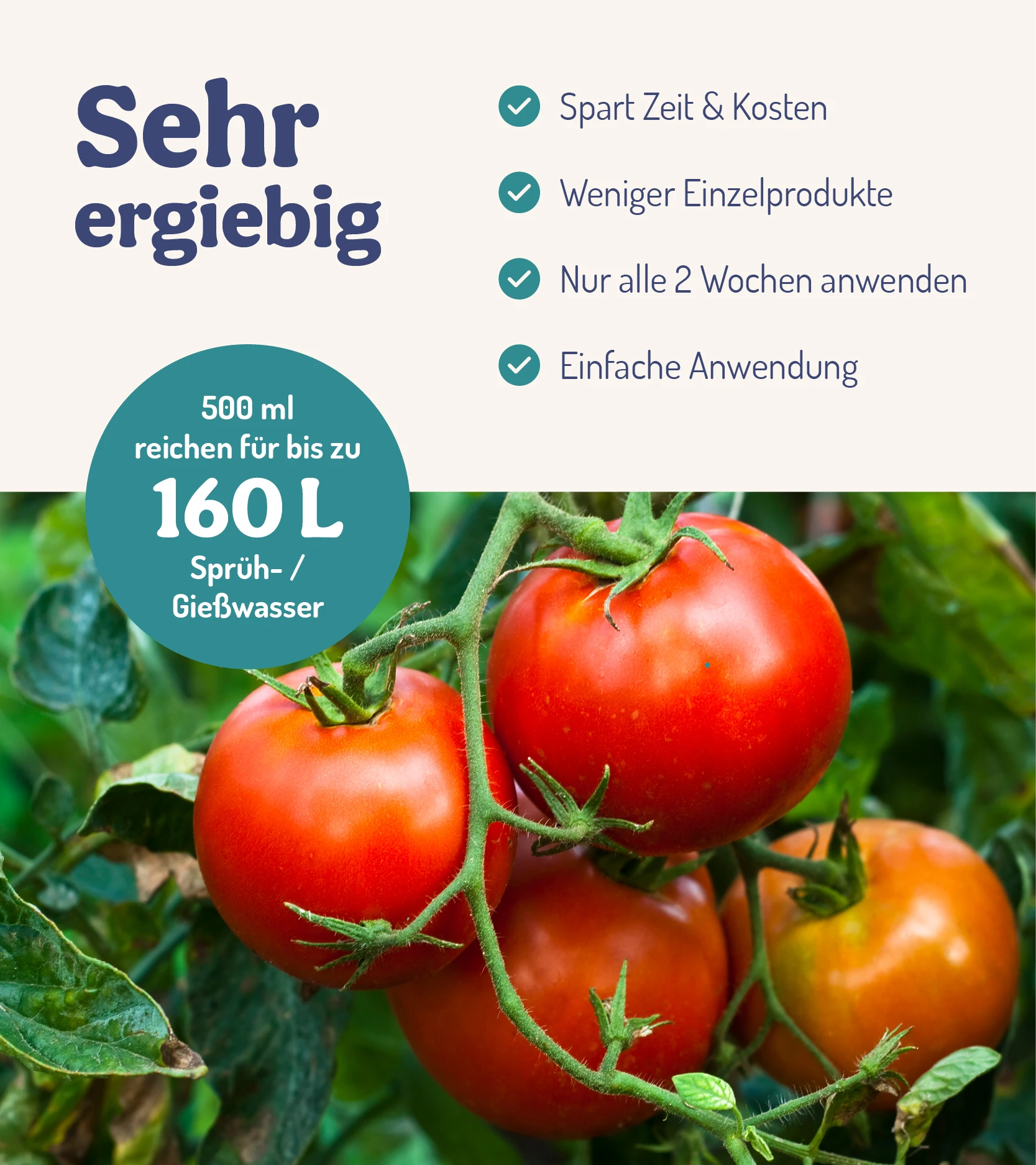 ErnteWunder - Für Obst & Gemüse (500 Ml) | Pflanzenstärkungsmittel Von DeNatura 5 ErnteWunder - Für Obst & Gemüse (500 Ml) | Pflanzenstärkungsmittel Von DeNatura – Bild 3