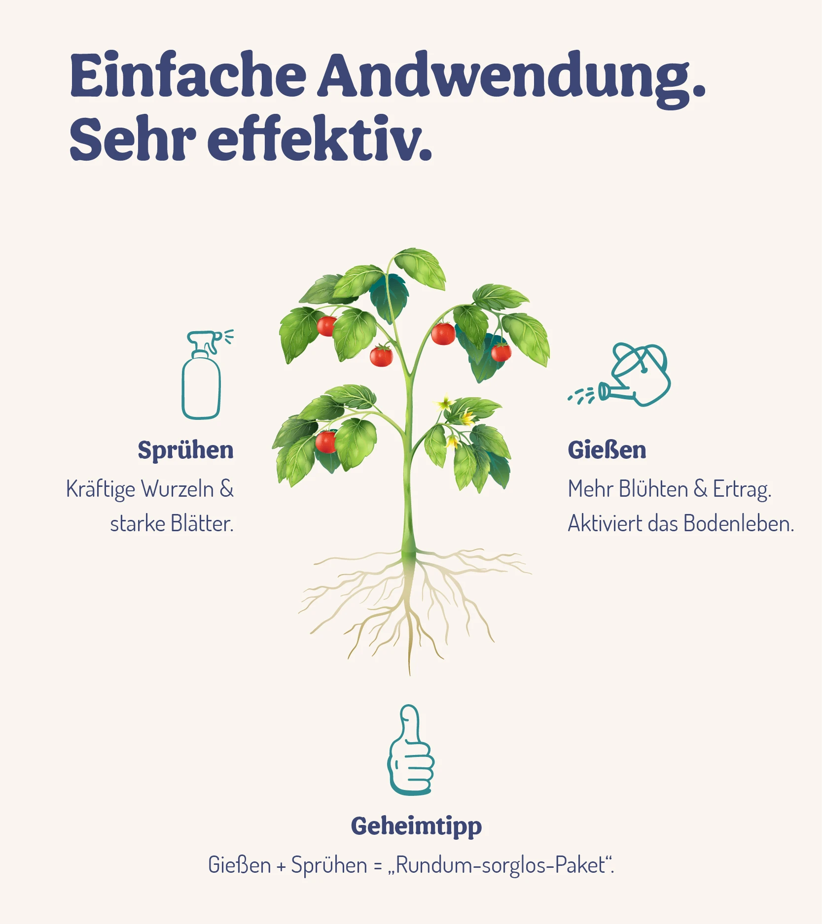 ErnteWunder - Für Obst & Gemüse (500 Ml) | Pflanzenstärkungsmittel Von DeNatura 8 ErnteWunder - Für Obst & Gemüse (500 Ml) | Pflanzenstärkungsmittel Von DeNatura – Bild 6