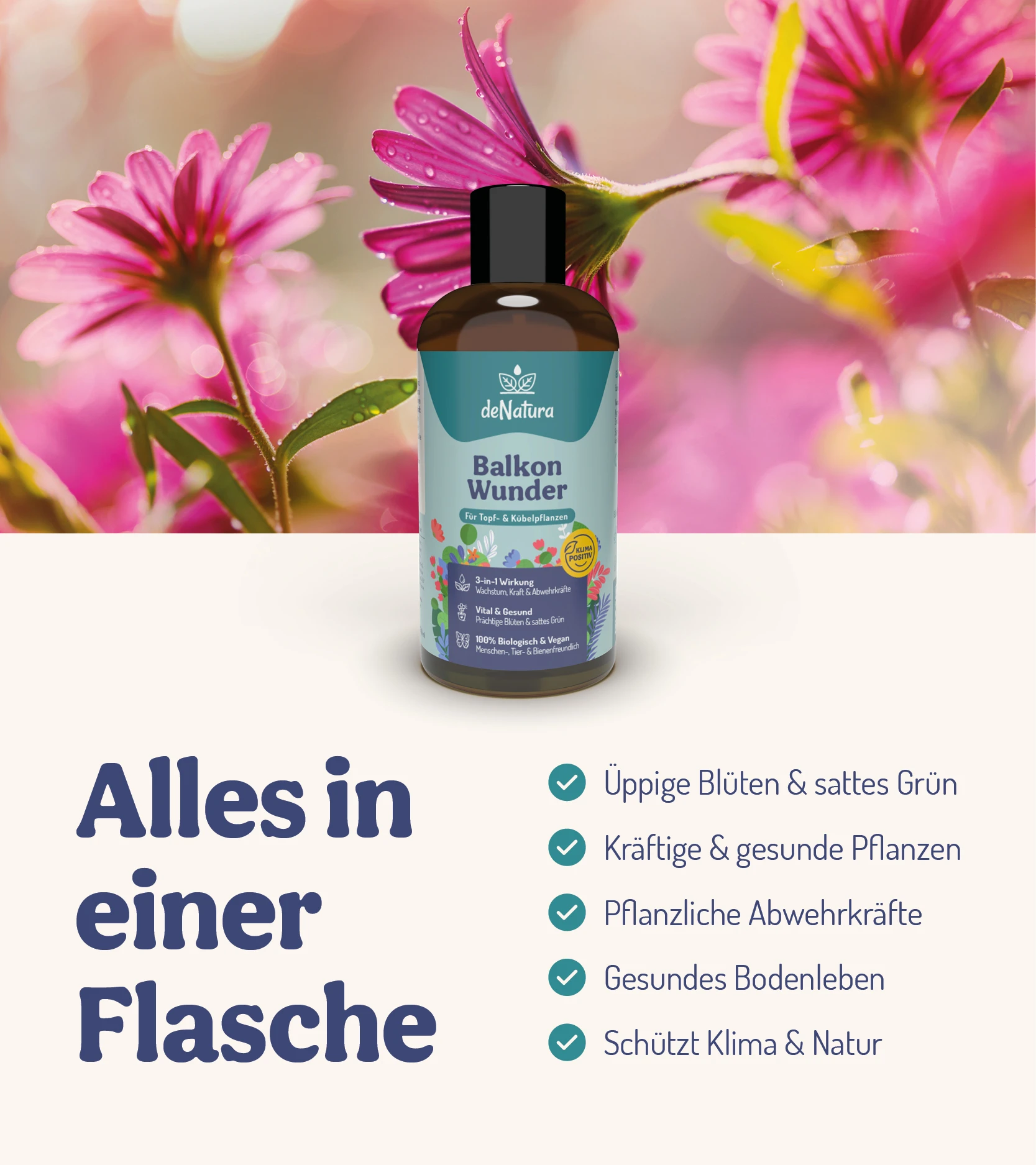 BalkonWunder - Für Topf- & Kübelpflanzen (500 Ml) | Pflanzenstärkungsmittel Von DeNatura 9 BalkonWunder - Für Topf- & Kübelpflanzen (500 Ml) | Pflanzenstärkungsmittel Von DeNatura – Bild 7