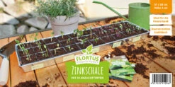Zinkschale Mit Anzuchttöpfen | Anzuchtschalen Von FLORTUS -Samenhaus Geschäft 561728 Zinkschale mit Anzuchttoepfen 30 Stueck 2000 1150 30x 2