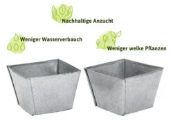 Zinkschale Mit Anzuchttöpfen | Anzuchtschalen Von FLORTUS -Samenhaus Geschäft 561728 Zinkschale mit Anzuchttoepfen 30 Stueck 2000 1150 30x 5