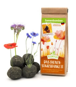 Samenbomben Das Bienenstaatsbankett (6 Stück) | Bienenwiese Von FLORTUS -Samenhaus Geschäft 562161 Samenbomben Das Bienenstaatsbankett 6 Stueck 2000 2356 1