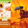 Samenbomben Das Bienenstaatsbankett (6 Stück) | Bienenwiese Von FLORTUS -Samenhaus Geschäft 562161 Samenbomben Das Bienenstaatsbankett 6 Stueck 2000 2356 2