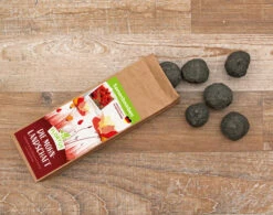 Samenbomben Die Mohnlandschaft (6 Stück) | Mohnsamen Von FLORTUS -Samenhaus Geschäft 562163 Samenbomben Die Mohnlandschaft 6 Stueck 2000 1054 3