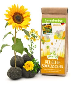 Samenbomben Der Gelbe Sonnenschein (6 Stück) | Blumensamenmischung Von FLORTUS -Samenhaus Geschäft 562164 Samenbomben Der Gelbe Sonnenschein 6 Stueck 2000 1055 1