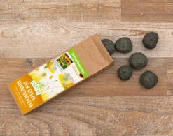 Samenbomben Der Gelbe Sonnenschein (6 Stück) | Blumensamenmischung Von FLORTUS -Samenhaus Geschäft 562164 Samenbomben Der Gelbe Sonnenschein 6 Stueck 2000 1055 3