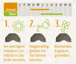 Samenbomben Der Gelbe Sonnenschein (6 Stück) | Blumensamenmischung Von FLORTUS -Samenhaus Geschäft 562164 Samenbomben Der Gelbe Sonnenschein 6 Stueck 2000 1055 4