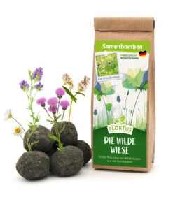Samenbomben Die Wilde Wiese (6 Stück) | Wildblumenwiese Von FLORTUS -Samenhaus Geschäft 562168 Samenbomben Die wilde Wiese 6 Stueck 2000 1059 1