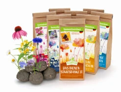 Samenbomben Set (8 Päckchen) | Blumensamenmischung Von FLORTUS -Samenhaus Geschäft 562498 Samenbomben Set 8 Paeckchen 2000 2367 1