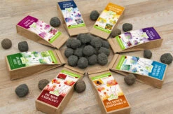 Samenbomben Set (8 Päckchen) | Blumensamenmischung Von FLORTUS -Samenhaus Geschäft 562498 Samenbomben Set 8 Paeckchen 2000 2367 3