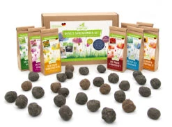 Samenbomben Set (8 Päckchen) | Blumensamenmischung Von FLORTUS -Samenhaus Geschäft 562498 Samenbomben Set 8 Paeckchen 2000 2367 5