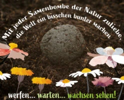 Samenbomben Set (8 Päckchen) | Blumensamenmischung Von FLORTUS -Samenhaus Geschäft 562498 Samenbomben Set 8 Paeckchen 2000 2367 7 1