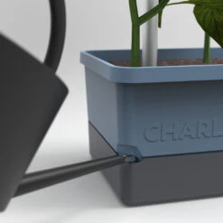 Charly Chili Chilitopf Inkl. Chilipflanze | Pflanzsets Von Gusta Garden X Chilivielfalt 10 Charly Chili Chilitopf Inkl. Chilipflanze | Pflanzsets Von Gusta Garden X Chilivielfalt -Samenhaus Geschäft 562593 Charly Chili Chilitopf inkl Chilipflanze 7600 6501 parent 16