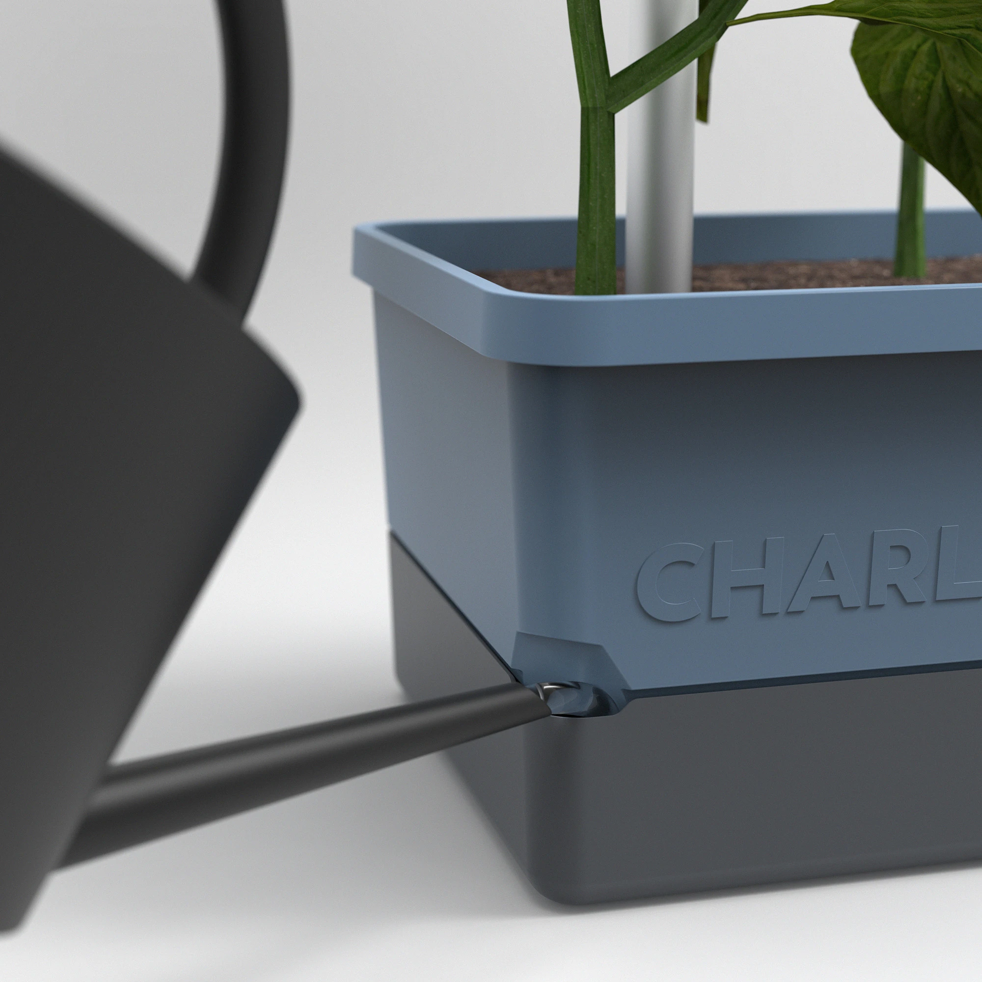 Charly Chili Chilitopf Inkl. Chilipflanze | Pflanzsets Von Gusta Garden X Chilivielfalt 6 Charly Chili Chilitopf Inkl. Chilipflanze | Pflanzsets Von Gusta Garden X Chilivielfalt – Bild 4