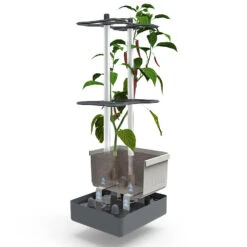 Charly Chili Chilitopf Inkl. Chilipflanze | Pflanzsets Von Gusta Garden X Chilivielfalt 9 Charly Chili Chilitopf Inkl. Chilipflanze | Pflanzsets Von Gusta Garden X Chilivielfalt -Samenhaus Geschäft 562593 Charly Chili Chilitopf inkl Chilipflanze 7600 6501 parent 17