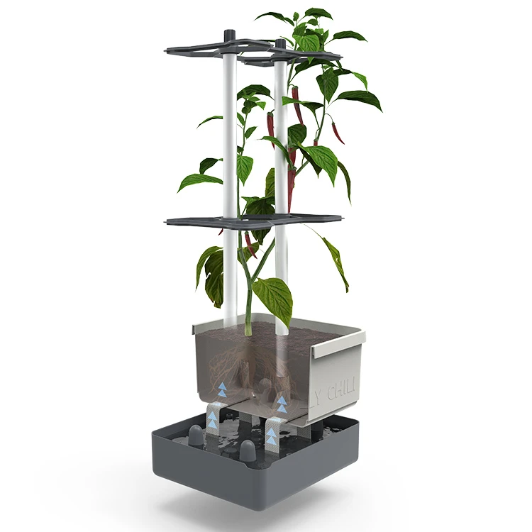 Charly Chili Chilitopf Inkl. Chilipflanze | Pflanzsets Von Gusta Garden X Chilivielfalt 5 Charly Chili Chilitopf Inkl. Chilipflanze | Pflanzsets Von Gusta Garden X Chilivielfalt – Bild 3