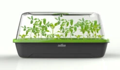 BoQube M &amp; FLORTUS Kokos Quelltöpfe (24 Stück) | Anzuchtzubehör Set Von FLORTUS -Samenhaus Geschäft 562697 BoQube M und FLORTUS Kokos Quelltoepfe 24 Stueck 2000 2385 anthrazit 2