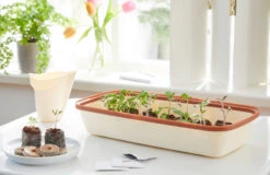 BoQube M &amp; FLORTUS Kokos Quelltöpfe (24 Stück) | Anzuchtzubehör Set Von FLORTUS -Samenhaus Geschäft 562697 BoQube M und FLORTUS Kokos Quelltoepfe 24 Stueck 2000 2385 kupfer 2