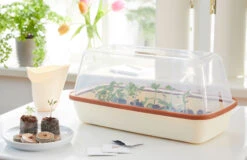 BoQube M &amp; FLORTUS Kokos Quelltöpfe (24 Stück) | Anzuchtzubehör Set Von FLORTUS -Samenhaus Geschäft 562697 BoQube M und FLORTUS Kokos Quelltoepfe 24 Stueck 2000 2385 kupfer 3